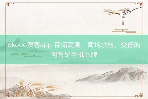 okooo澳客app 存储高潮，商场承压，受伤的何啻是手机品牌